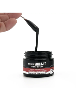 Complexe Shilajit + Ginseng + Vitamine B6 + Zinc – Résine-50G