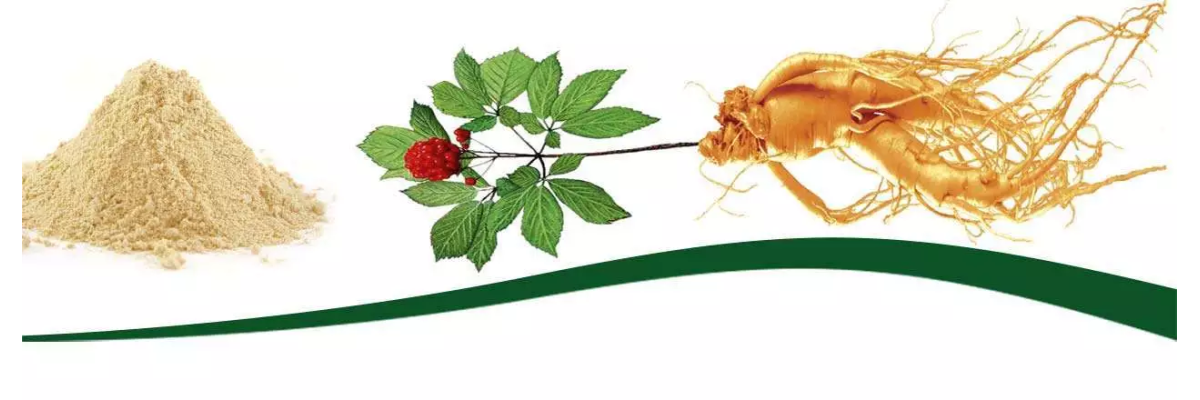 Ginseng rouge de Corée