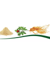 Ginseng rouge