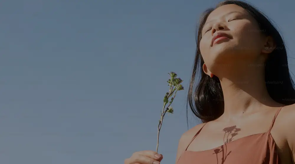 Découvrez notre Ginseng